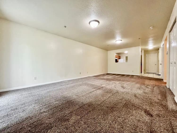 undefined apartments for rent - image - large (2).jpeg